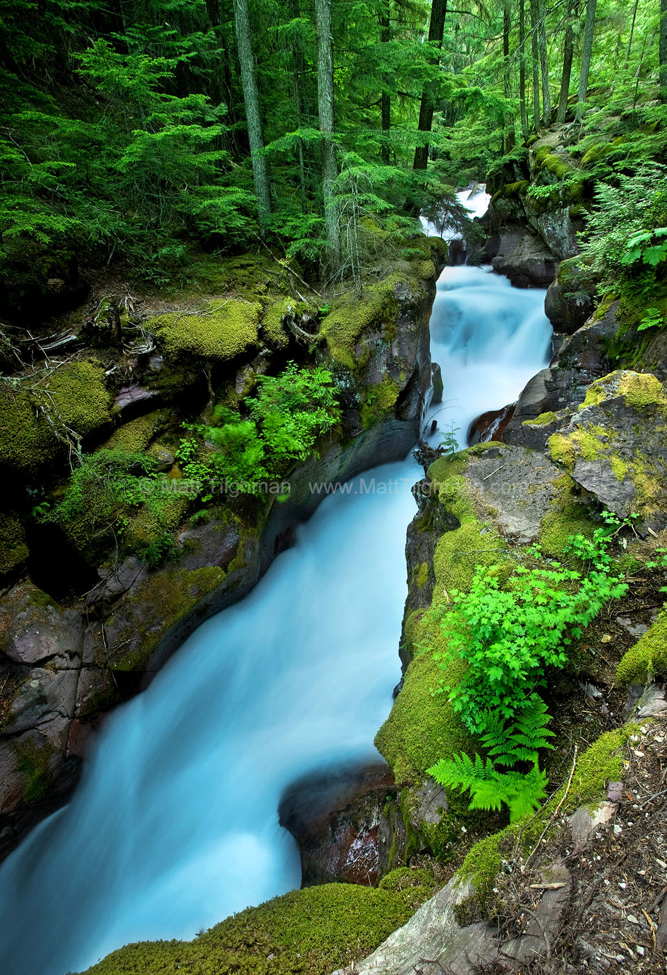 Avalanche Creek, Glacier N.P. Fine art stock photograph of Avalanche Creek in Glacier National Park. The glacially-fed creek rushes through lush forest and small canyons in early morning.