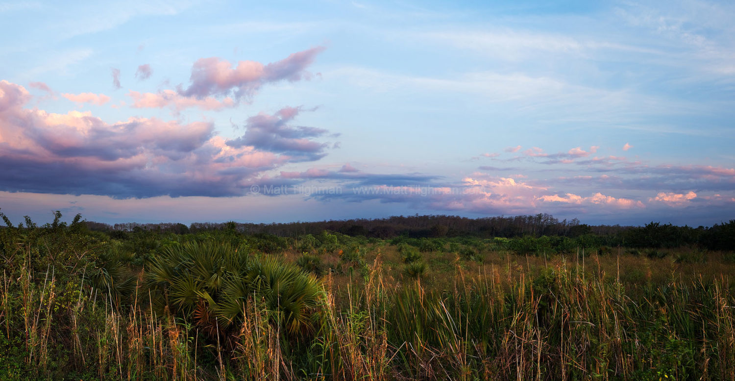 Fine art stock landscape photograph of a beautiful Florida Everglades sunset amidst a balmy spring breeze and endless sawgrass prairies.