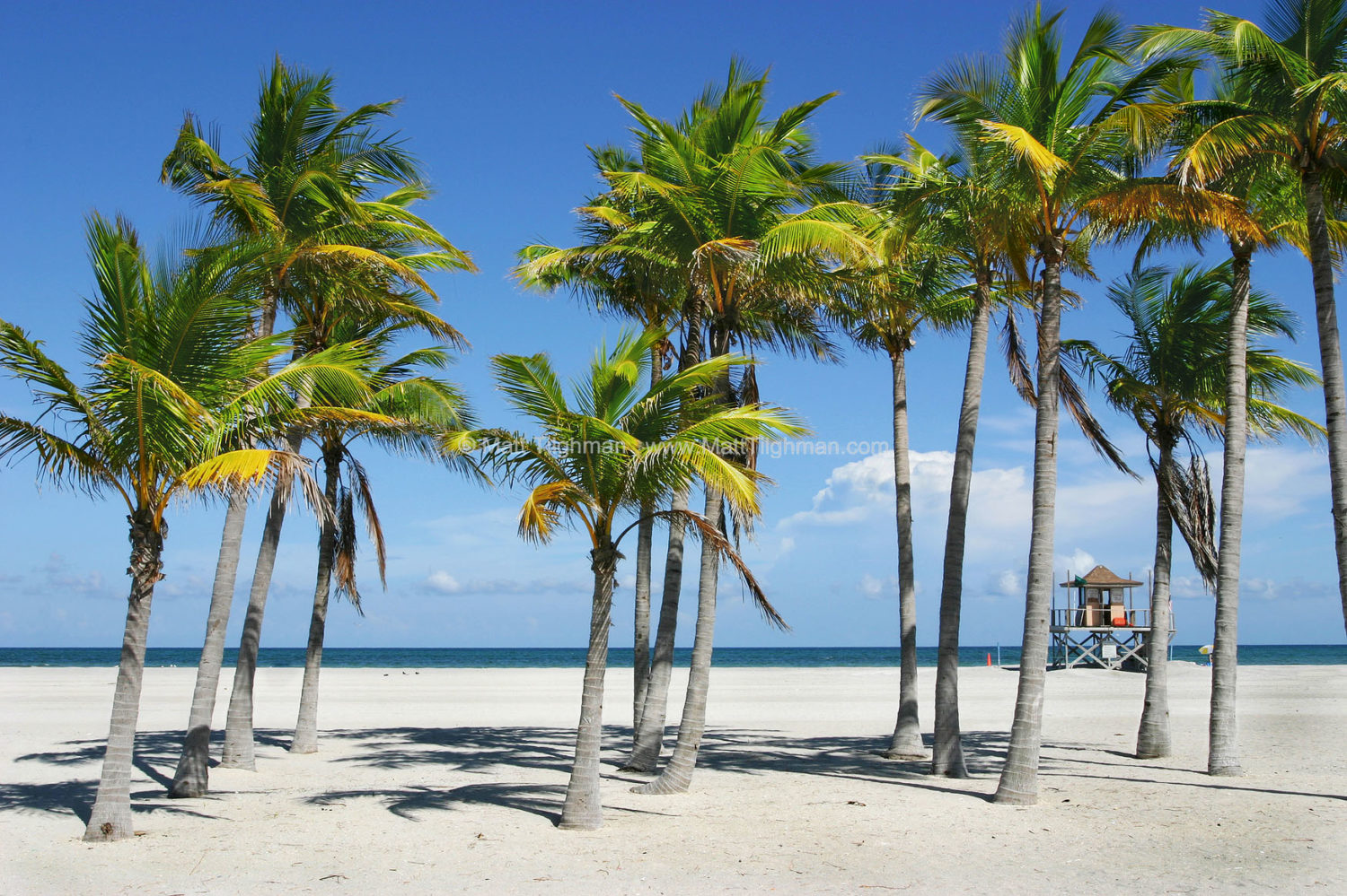 Fine art stock photograph of beautiful blue skies, shimmering turquoise waters, and tropical palm trees along Key Biscayne beach, Florida