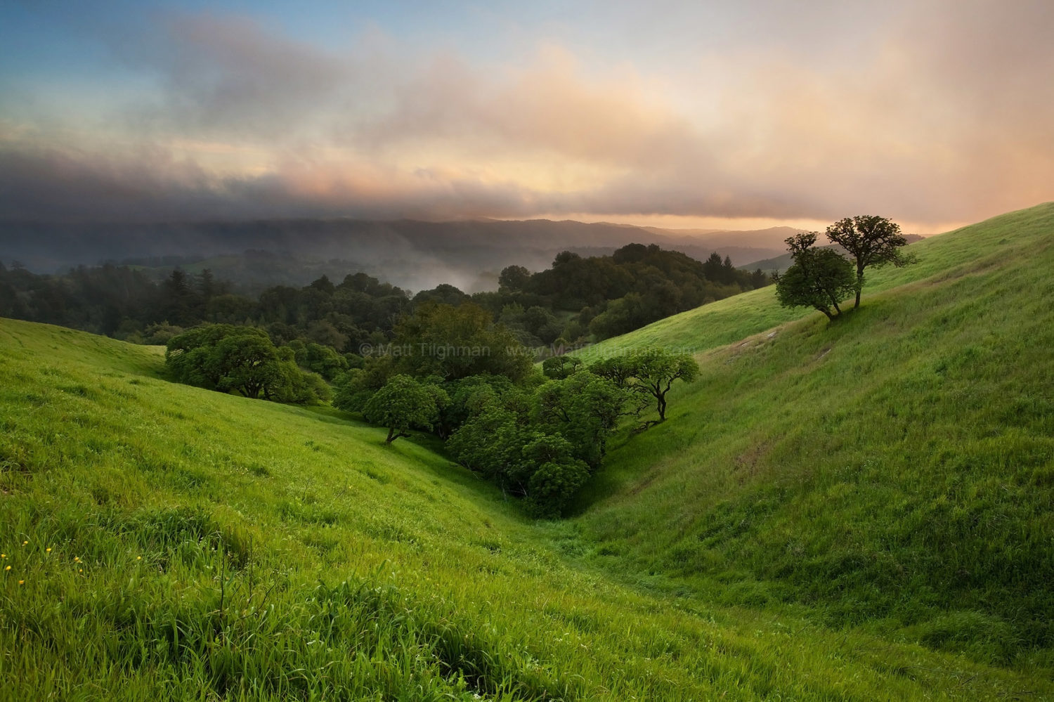 Fine art stock photograph from Russian Ridge Open Space, where the California spring landscape comes to life following a particularly rainy winter.