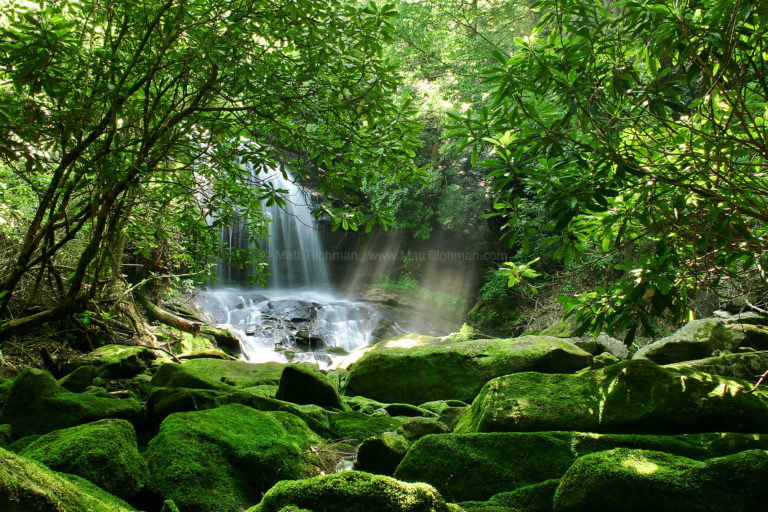 Secret Paradise - Hidden Waterfall - Matt Tilghman Photography