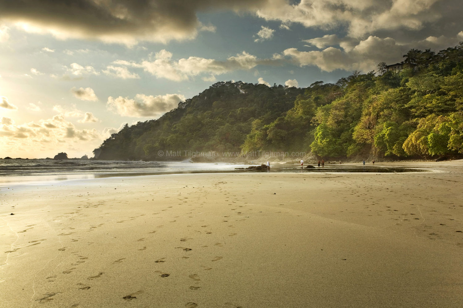 Fine art stock photograph of Manuel Antonio National Park, in Costa Rica. The late afternoon light turns both the beach and jungle a warm gold, echoing the heat of the tropical sun.
