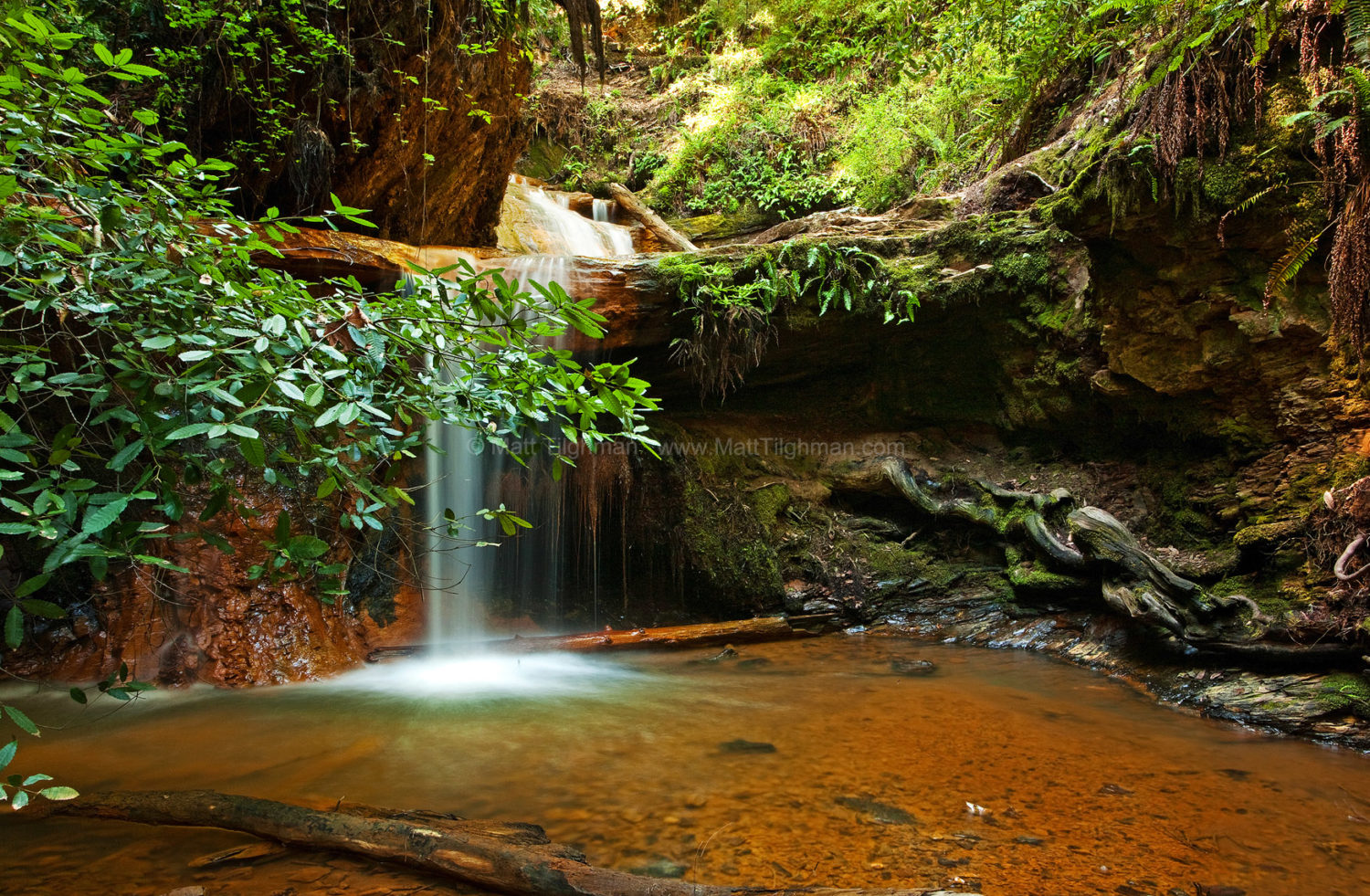 Fine art stock landscape photograph of Lower Golden Cascade, a small peaceful waterfall in Big Basin Redwoods State Park, California