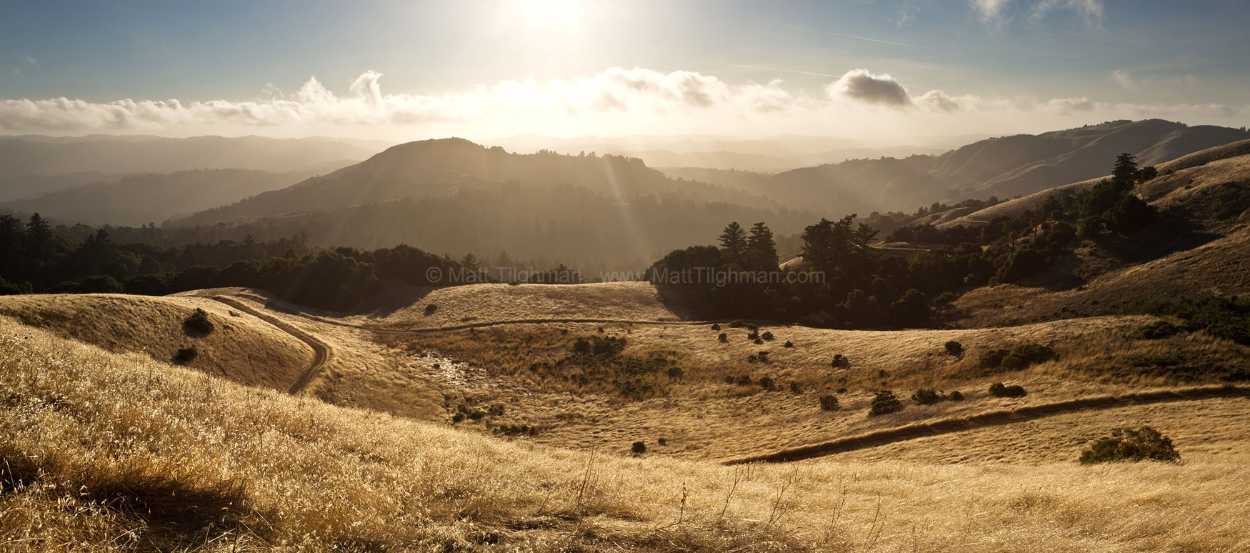 Summer's Last Stand - Late Afternoon in Coastal California Fine art stock nature photograph of Coastal California. The landscape in Russian Ridge still shows the signs of summer, but the process of change will begin soon.