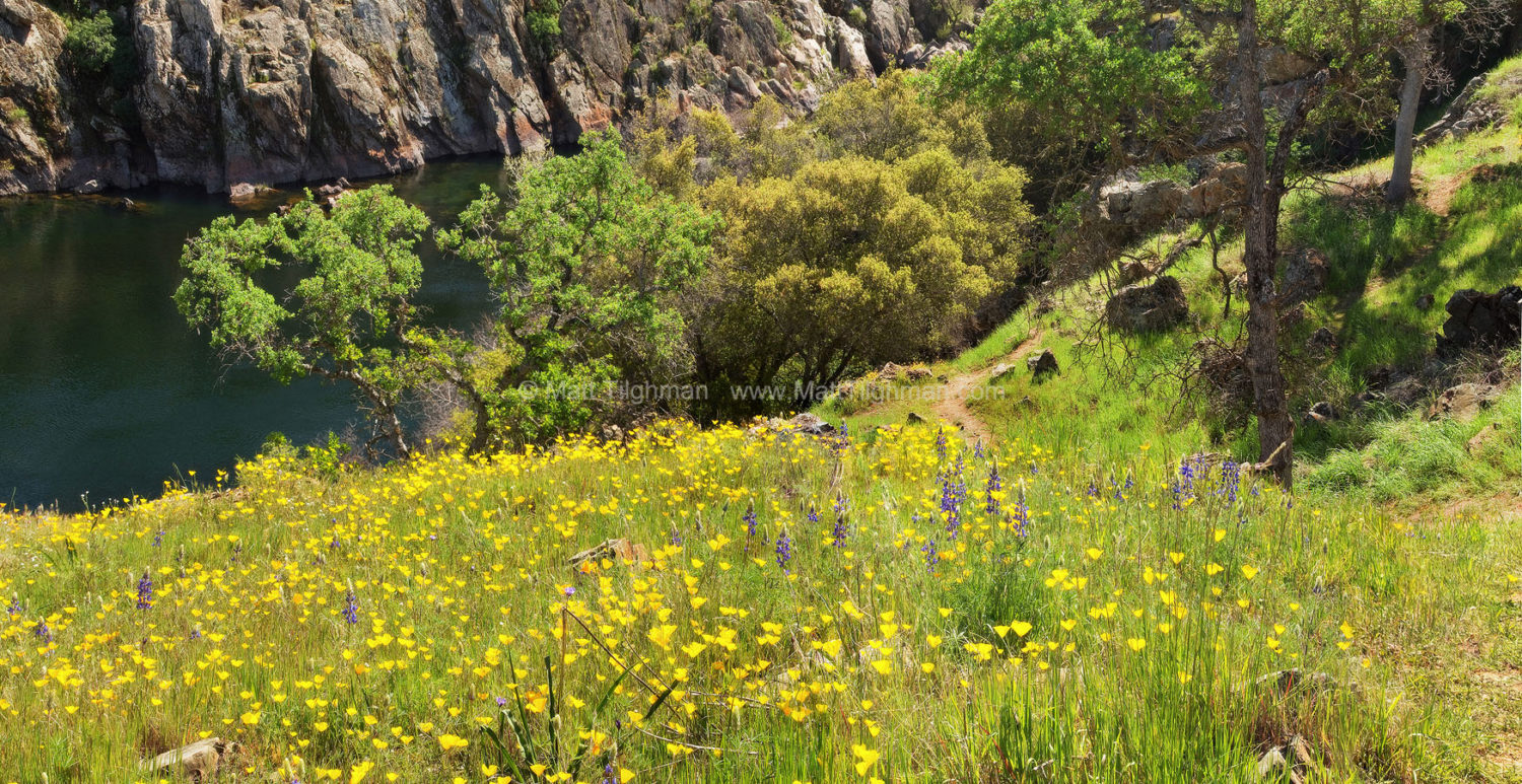 Fine art stock landscape photograph of Spring meadows along California's Stanislaus River. The Sierra Nevada foothills are bursting with poppies and lupine.