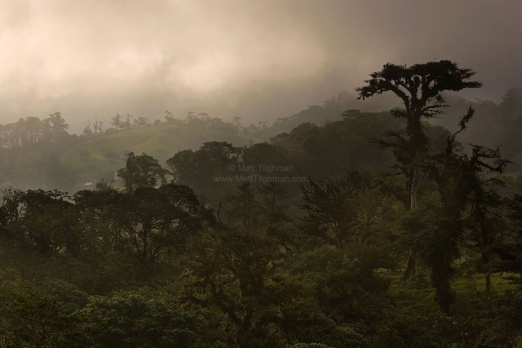 Cloud Forest Sunset - Costa Rica Fine art stock photograph of the Costa Rican cloud forest at sunset. Unlike most tropical jungles, cloud forests offer vantages which show the whole landscape.