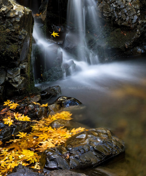 Fine art stock nature photograph from Uvas Canyon, California. In autumn, the fallen leaves congregate around the base of Granuja Falls, adding some bright color.