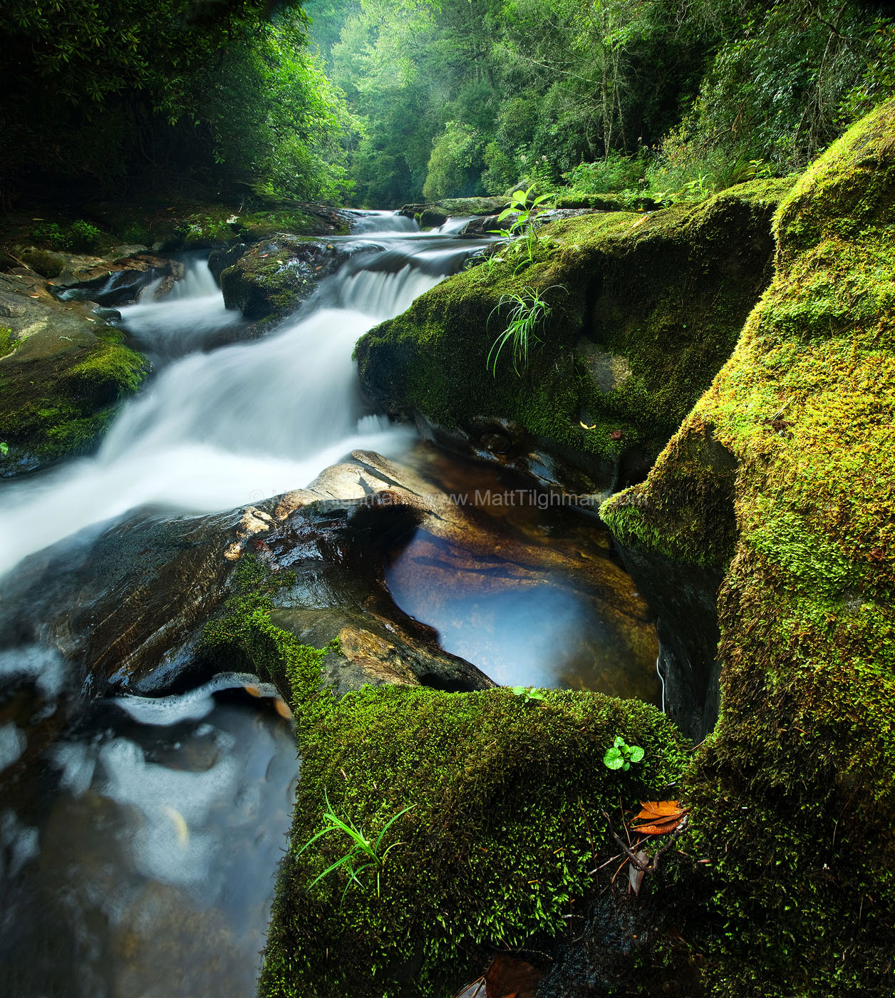 Chattooga Headwaters - North Carolina Fine art photograph of the Chattooga River. Here it meanders through the lush Appalachian Mountains, near Cashiers, North Carolina.