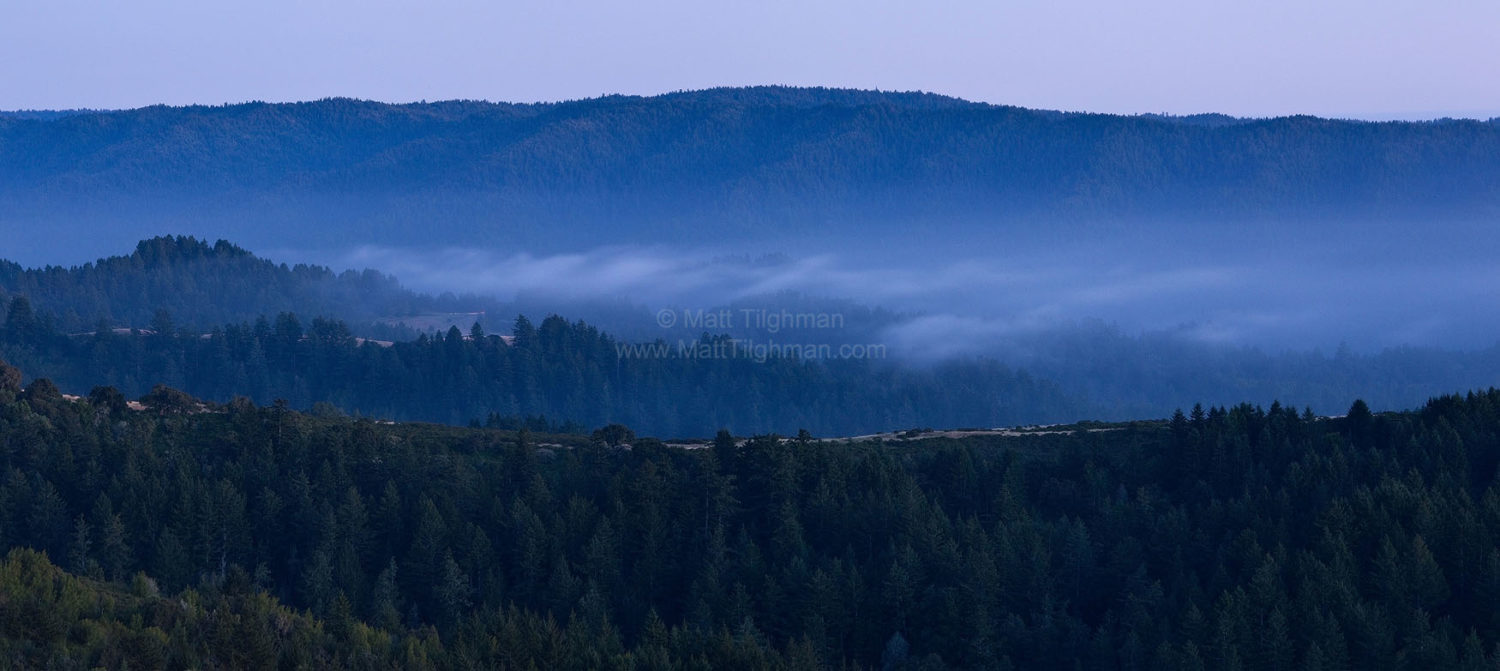 Fine art stock landscape photograph from Russian Ridge Open Space, California. A long exposure reveals the interesting dynamics of fog in the valley.