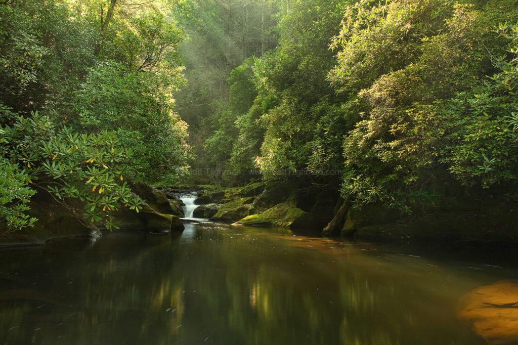 Chattooga River at Dawn - North Carolina - Matt Tilghman Photography