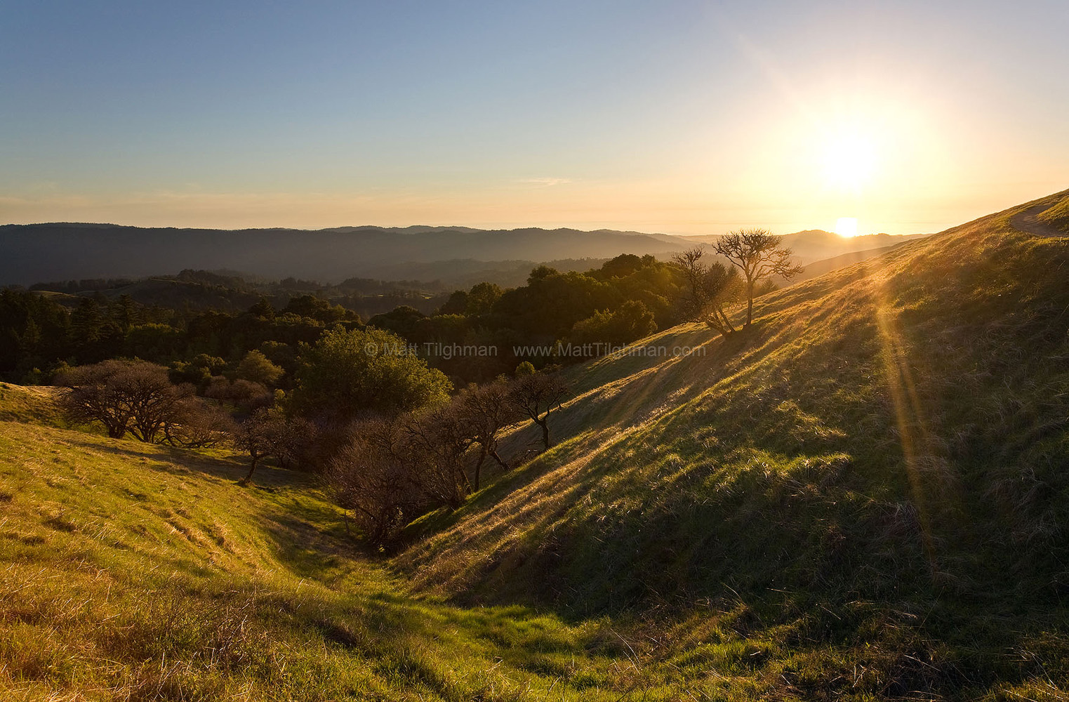 Russian Ridge in Transition Fine art stock photograph from Russian Ridge, California. These lovely hills are caught mid-transition, between the dry grass of summer and the green of spring.
