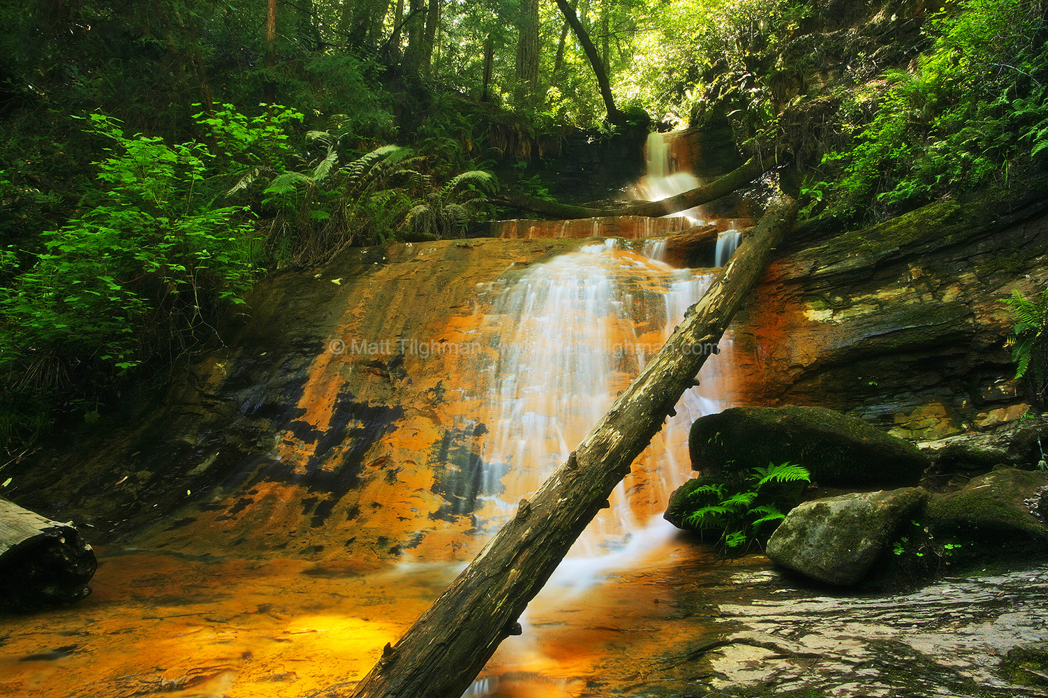 Golden Cascade in Afternoon Sunlight Fine art stock photograph of the beautiful and odd Golden Cascade waterfall, in California's Big Basin Redwoods State Park, within the Santa Cruz Mountains.
