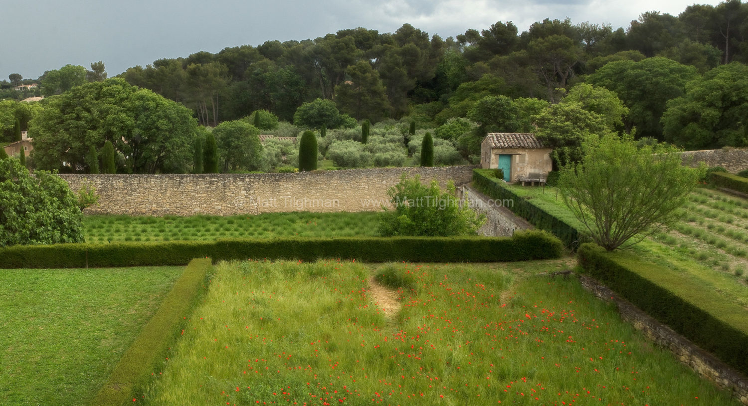 Fine art stock photograph of beautiful lush poppy and lavender gardens at the Saint Paul de Mausole Monastery, near St Remy, Provence, France.