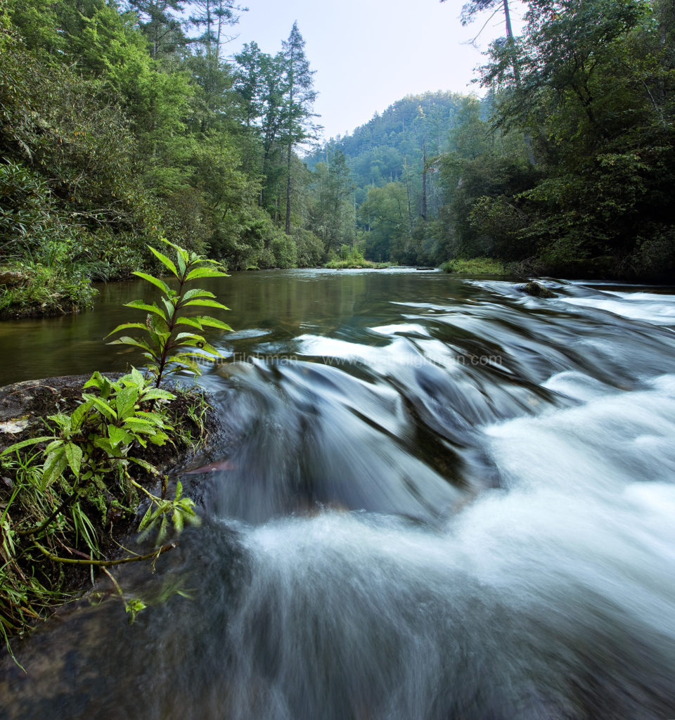 Peaceful Dawn at Chattooga River - Smoky Mountains in Summer - Matt ...