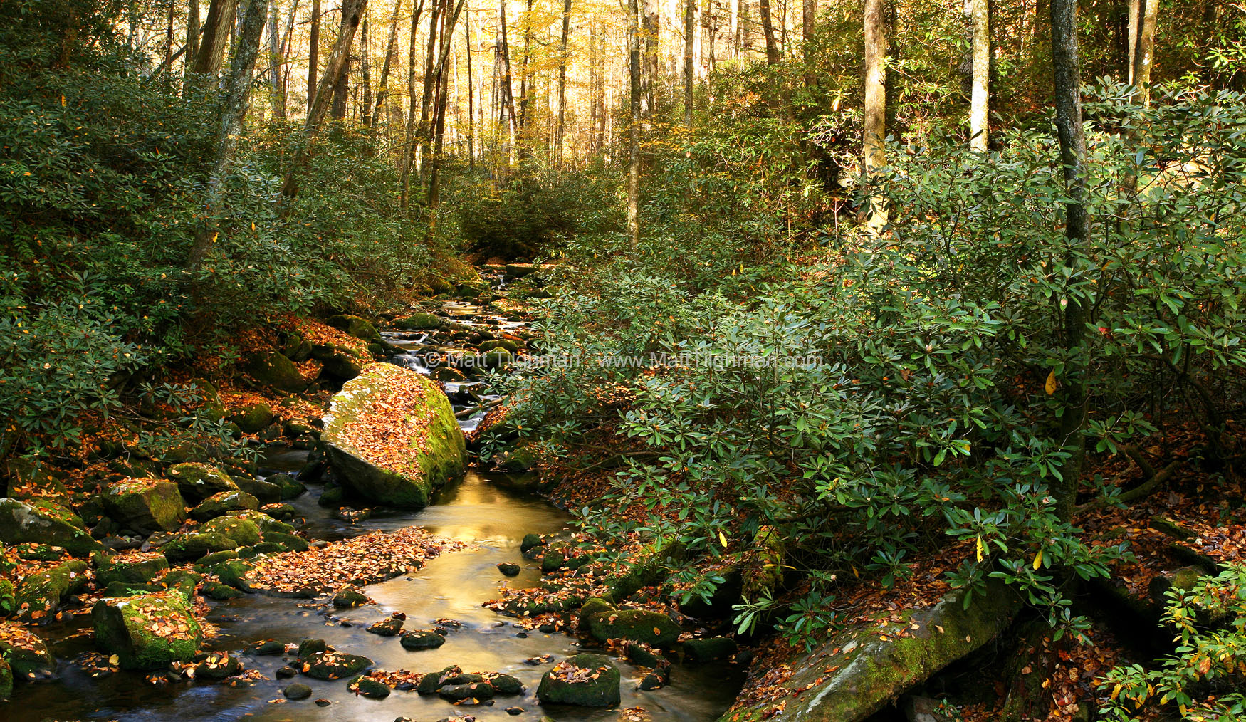 Autumn Babble North Carolina Stream Matt Tilghman Photography