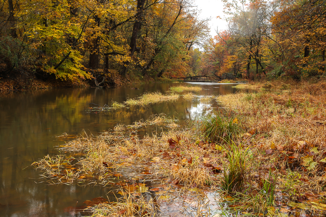 Fall on the Stony Brook, near its confluence with Lewis Brook, in Mercer County New Jersey